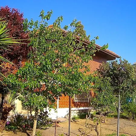 فندق مبيت وإفطار Sa Domu Sarda Casa