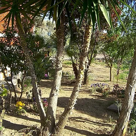 فندق مبيت وإفطار Sa Domu Sarda Casa 3*